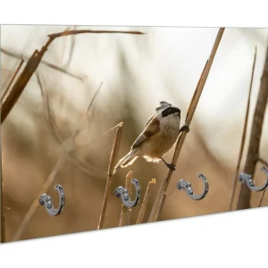 Expressversand Schlüsselbrett Vogel im Schilf