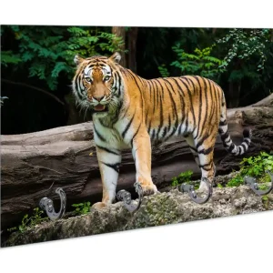 Neue Ware Schlüsselbrett Blick des Tigers