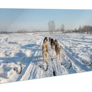 Schlüsselbrett Hundeschlitten im Schnee Kracherpreis