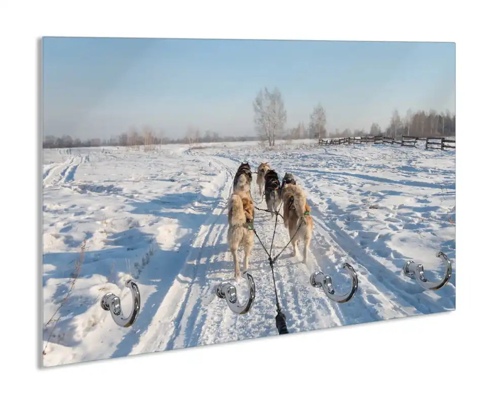 Schlüsselbrett Hundeschlitten im Schnee Kracherpreis