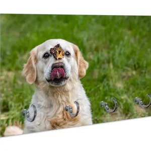 Schlüsselbrett Hund trifft Leckerli Highlight