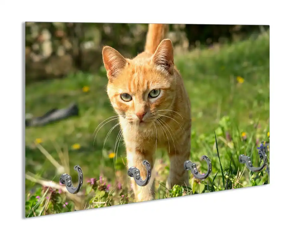 Neu Im Sortiment Schlüsselbrett Neugierige Katze im Gras