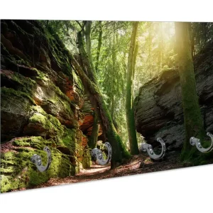 Echt Schlüsselbrett Moosbewachsener Waldpfad im Sonnenlicht