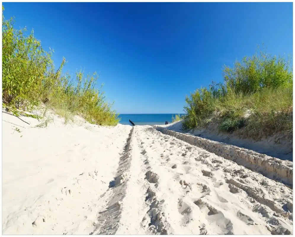 Zertifiziert Poster Auf dem Sandweg zum Strand - Blauer Himmel über dem Meer 61 x 91,5 cm, mit schwarzem Aluminiumrahmen