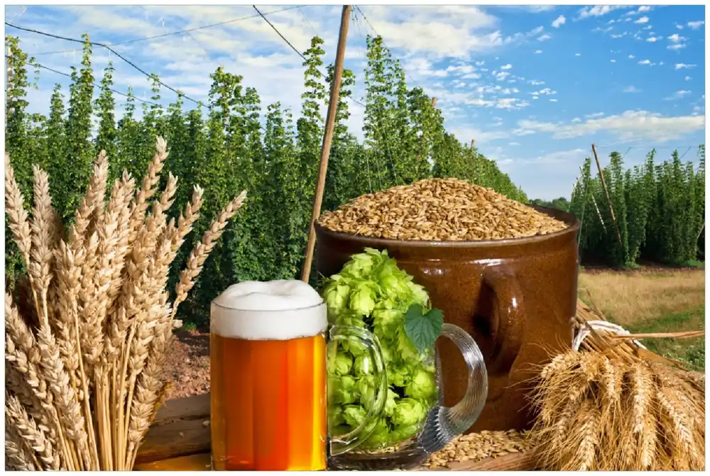 Sonderaktion Poster Frisch gezapftes Bier, Hopfen und Malz 61 x 91,5 cm, mit weißem Aluminumrahmen