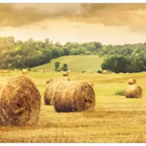 Selbstklebendes Poster Strohballen auf dem Feld bei Sonnenuntergang 70 x 100 cm Ausverkauf