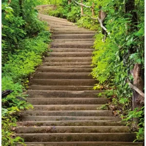 Selbstklebendes Poster Steintreppe im Wald 70 x 100 cm Kostenloser Rückversand