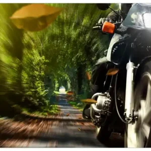 Letzte Chance Selbstklebendes Poster Fahrendes Motorrad im Wald mit Herbstlaub 50 x 125 cm