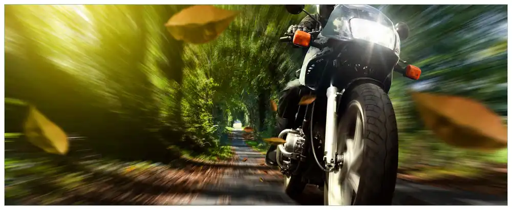 Letzte Chance Selbstklebendes Poster Fahrendes Motorrad im Wald mit Herbstlaub 50 x 125 cm