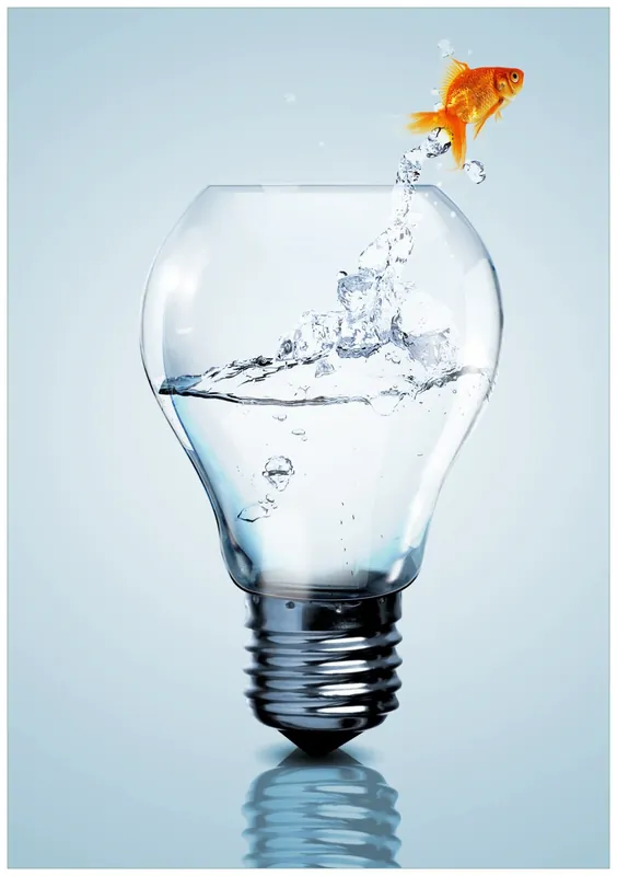 Selbstklebendes Poster Goldfisch springt aus Aquarium 50 x 125 cm Sale