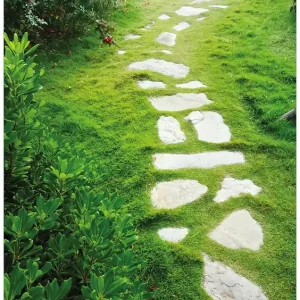 Kracherpreis Selbstklebendes Poster Steinweg im Grünen 50 x 125 cm