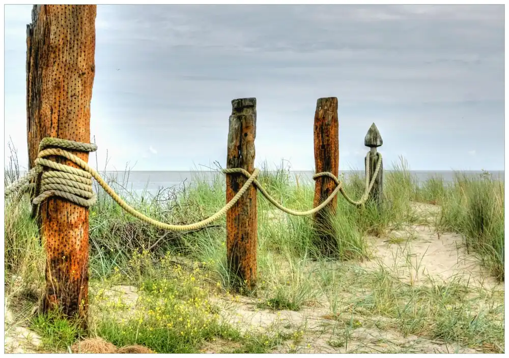 Markenprodukt Selbstklebendes Poster Düne am Strand mit Holzpfahl 100 x 150 cm