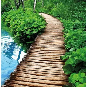 Heißes Angebot Selbstklebendes Poster Holzweg im Wald 50 x 125 cm