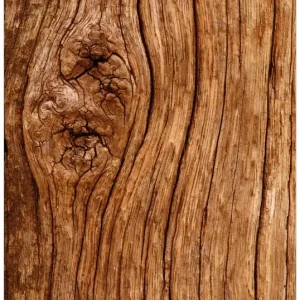 Top-Angebot Selbstklebendes Poster Holzstamm mit Asteinschluss 61 x 91,5 cm