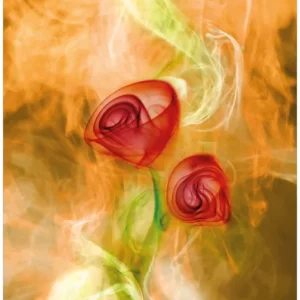 Heißes Angebot Selbstklebendes Poster Abstrakte Rosen 100 x 150 cm