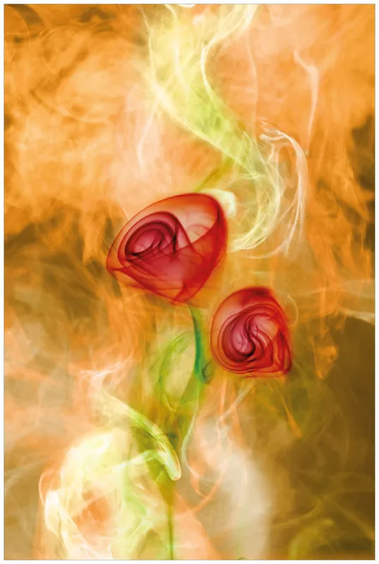 Letzte Chance Selbstklebendes Poster Abstrakte Rosen 70 x 100 cm
