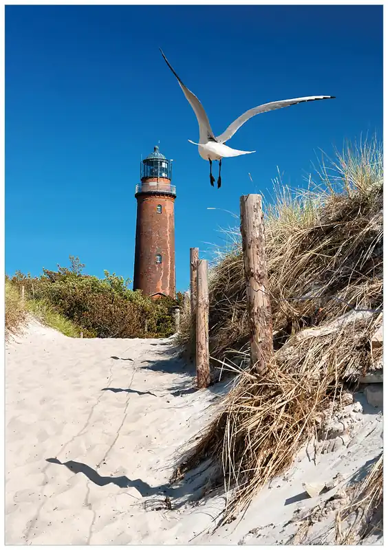 Versand Am Gleichen Tag Selbstklebendes Poster Möwe am Strand mit Leuchtturm 61 x 91,5 cm