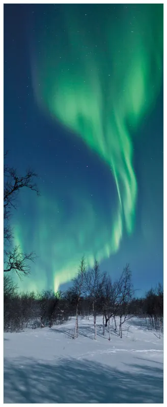 Markenprodukt Selbstklebendes Poster Polarlicht in Schweden 61 x 91,5 cm