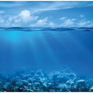 Selbstklebendes Poster Unterwasserwelt Meer 50 x 125 cm Kostenloser Rückversand