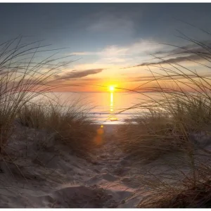 Bestpreis Selbstklebendes Poster Sonnenuntergang am Strand 61 x 91,5 cm