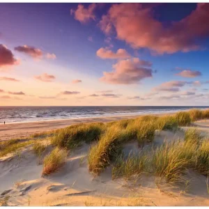 Heißes Angebot Selbstklebendes Poster Abendspaziergang am Strand - Sonnenuntergang über dem Meer 61 x 91,5 cm