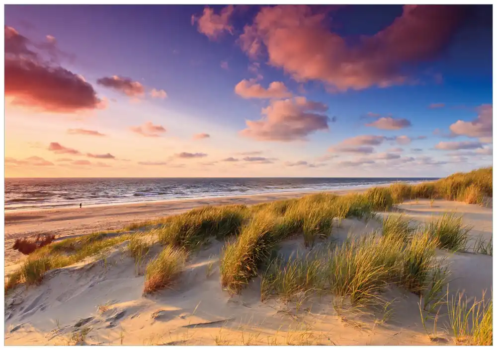 Heißes Angebot Selbstklebendes Poster Abendspaziergang am Strand - Sonnenuntergang über dem Meer 61 x 91,5 cm