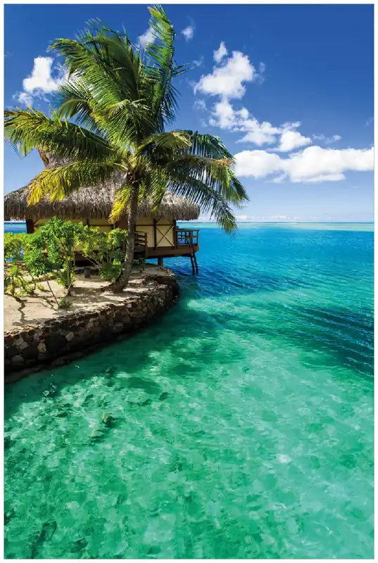 Direkt Vom Hersteller Selbstklebendes Poster Karibisches Meer Einsame Hütte unter Palmen 80 x 200 cm