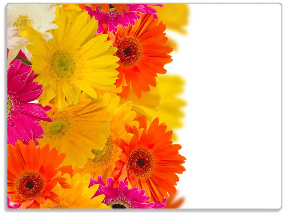 Glasunterlage Bunte Gerberas - pinke, gelbe, rote und weiße Blüten 30 x 40 cm Meistverkauft