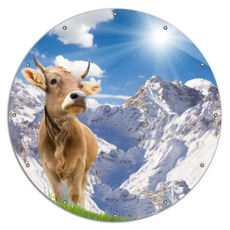 Zertifiziert Gartenposter Kuh im Sonnenschein in den Alpen Rund. 90 cm Durchmesser