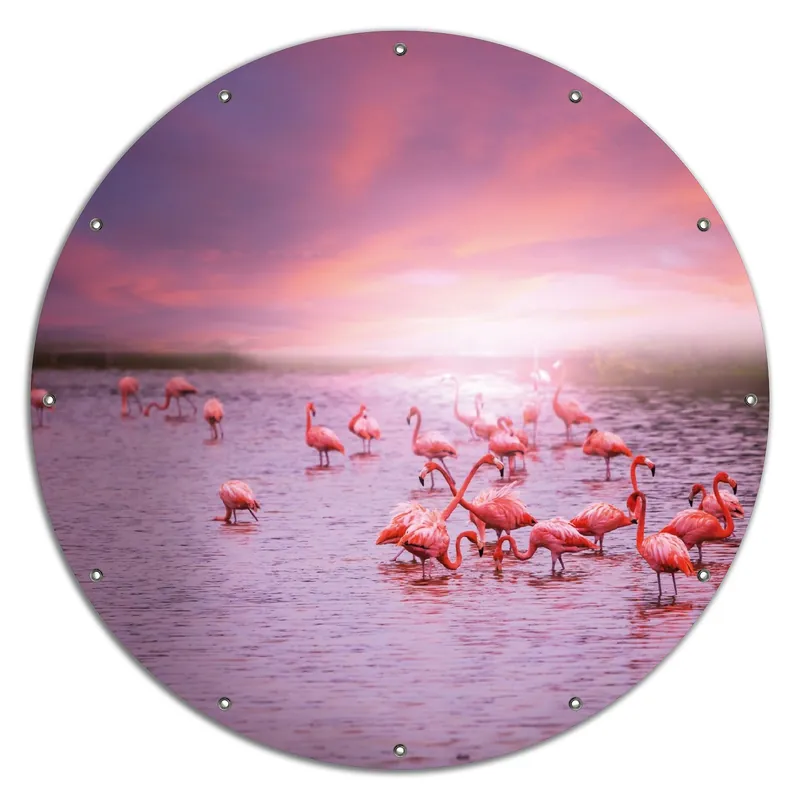 Knallerangebot Gartenposter Rosa Flamingos bei Sonnenuntergang ca. 60 x 90 cm