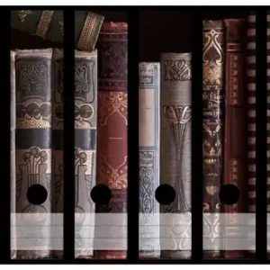 Zertifiziert Ordnerrücken Sticker Bücherregal mit alten Büchern für breite Ordner, 9 Sticker