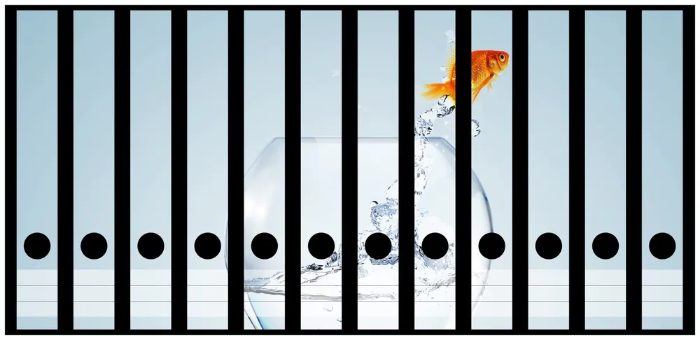 Neue Ware Ordnerrücken Sticker Goldfisch springt aus Aquarium inkl. breiter Ordner, 12 Sticker