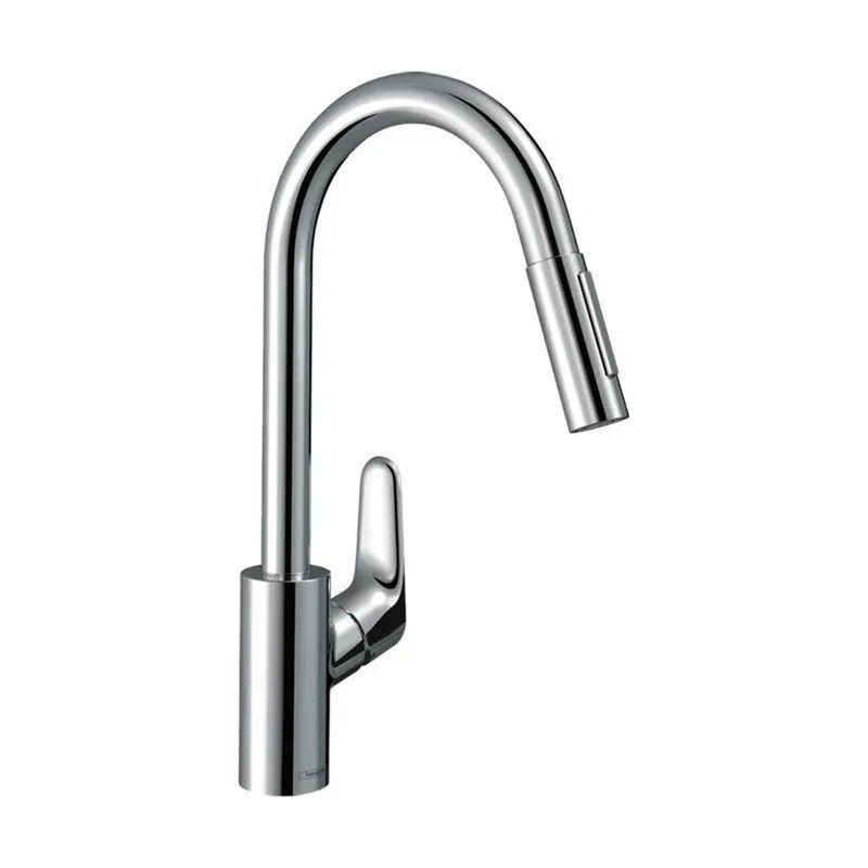 Neuheit hansgrohe Küchenarmatur 240 Focus M41 | ausziehbarer Schlauch mit Brausefunktion