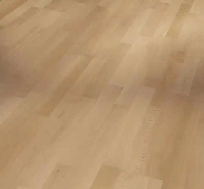 Buche Preisreduziert